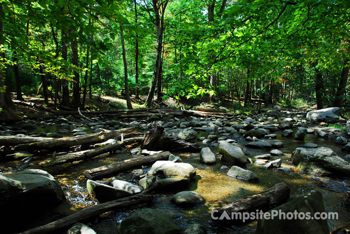 Cades Cove Group Creek View