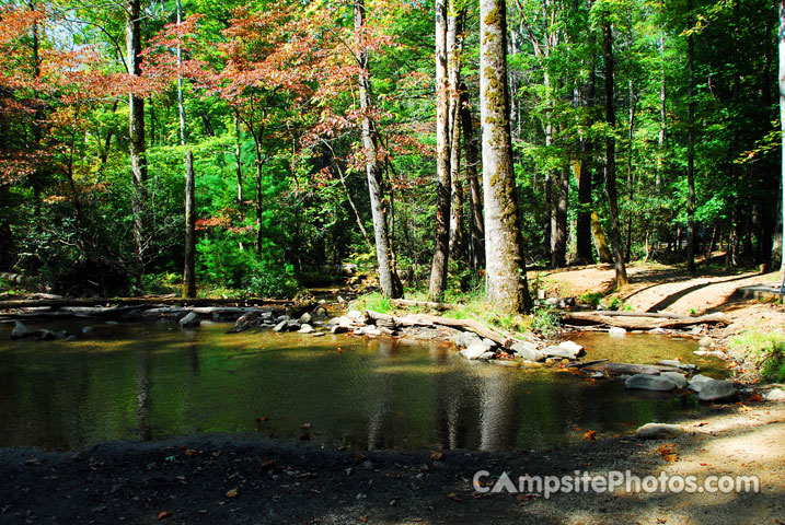 Cades Cove Group Scenic