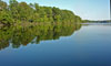 Lake Poinsett State Park Lake View