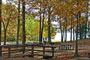 Lake Poinsett State Park Picnic Area