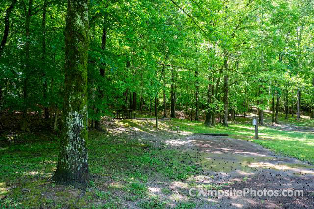 Village Creek State Park 022