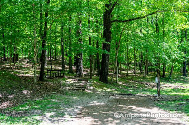 Village Creek State Park 039