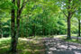 Village Creek State Park 091 Equestrian