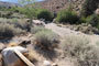 Lone Pine Campground 039