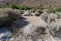 Lone Pine Campground 042