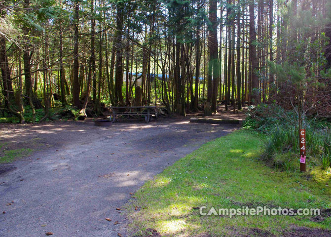 Cape Lookout C24