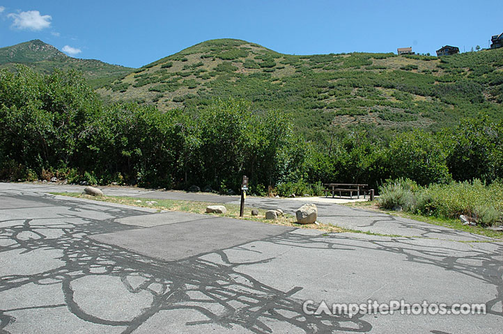 Wasatch Mountain State Park Cottonwood 029