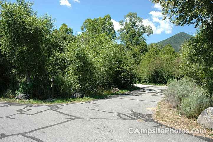 Wasatch Mountain State Park Cottonwood 036