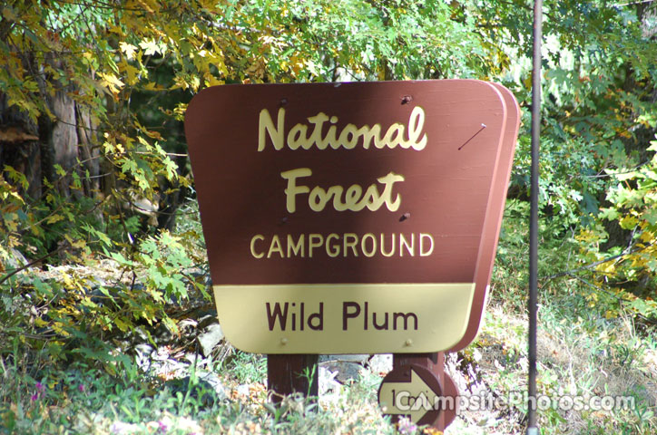 Wild Plum Sign