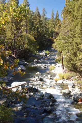 Yuba River near Wild Plum