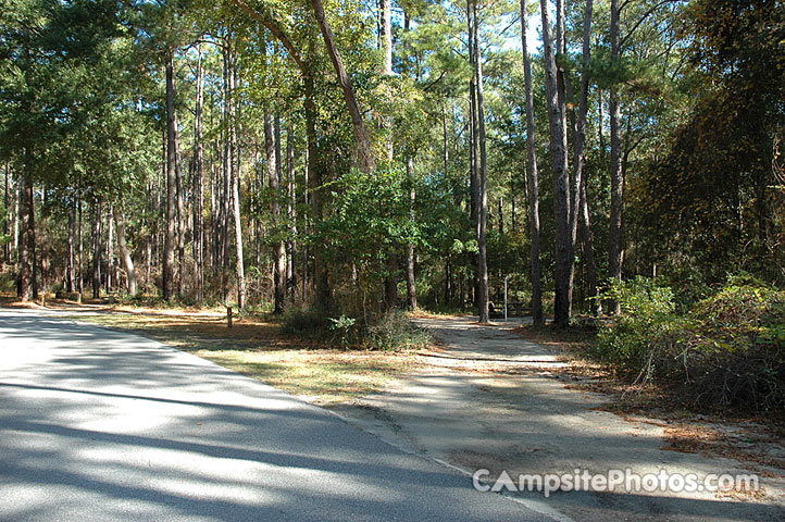 Carolina Beach State Park 012