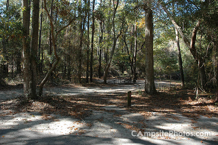 Carolina Beach State Park 052