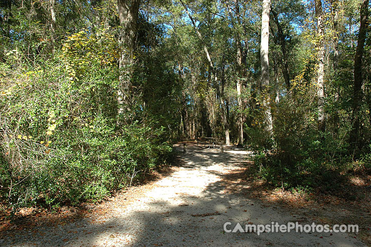 Carolina Beach State Park 079