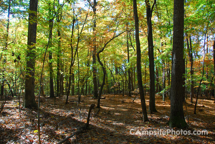 William B Umstead Trail