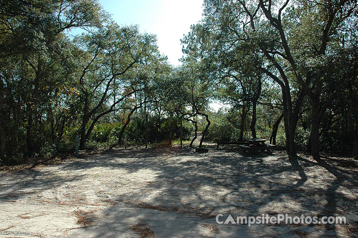 Ochlockonee River State Park 015