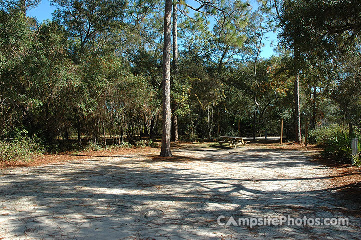 Ochlockonee River State Park 021