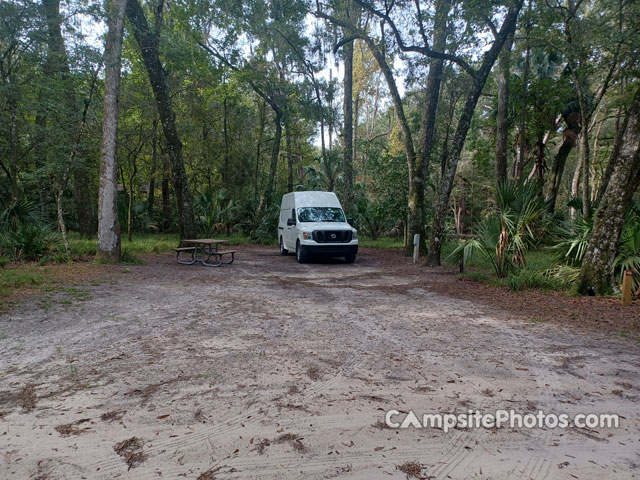 Manatee Springs State Park 046