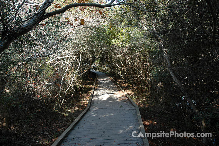 Huntington State Park Boardwalk