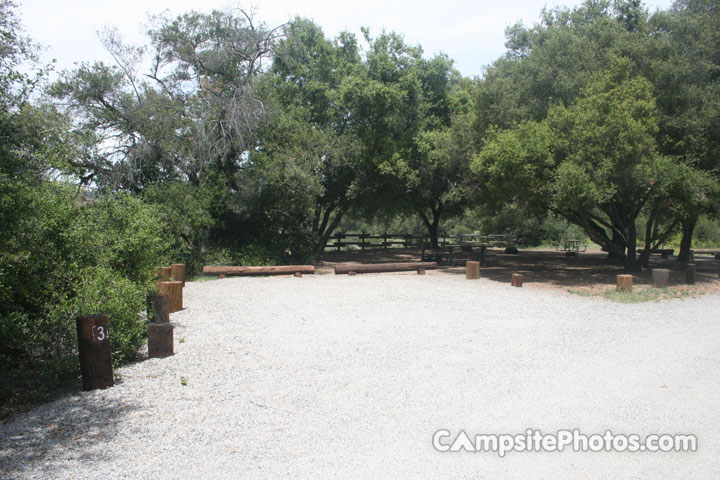 Caspers Wilderness Live Oak 003