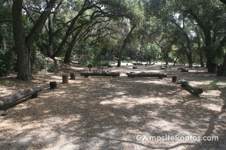 Caspers Wilderness Live Oak 005