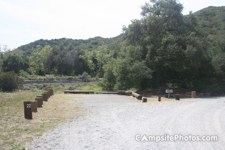 Caspers Wilderness Live Oak 022