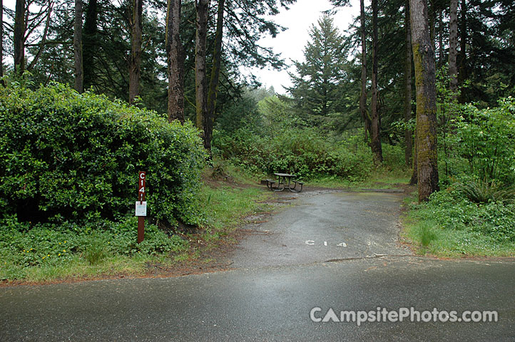 Harris Beach State Park C014