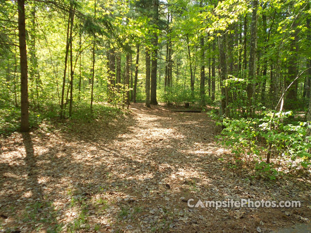 Norway Beach Chippewa Loop 081