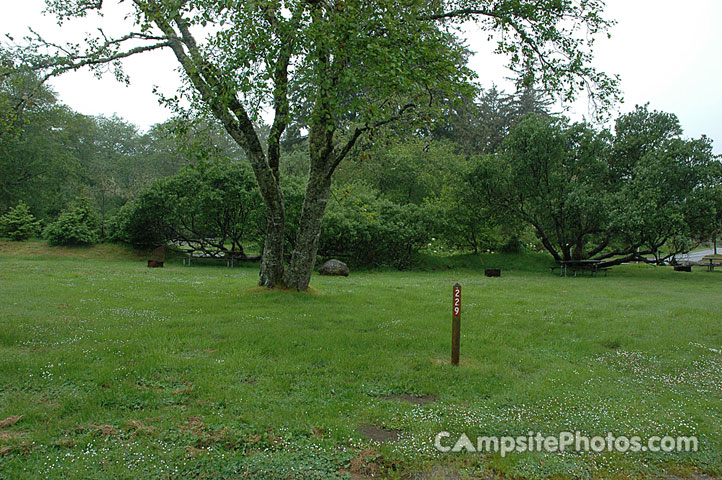 Cape Disappointment 229