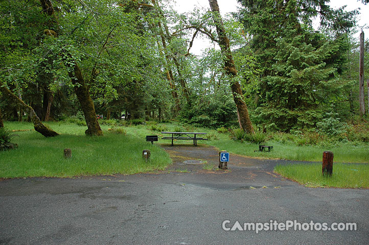 Hoh Rainforest 001