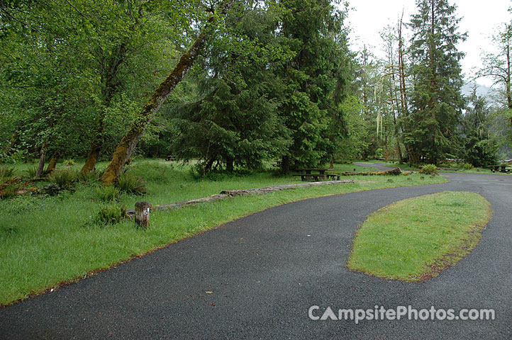 Hoh Rainforest 015