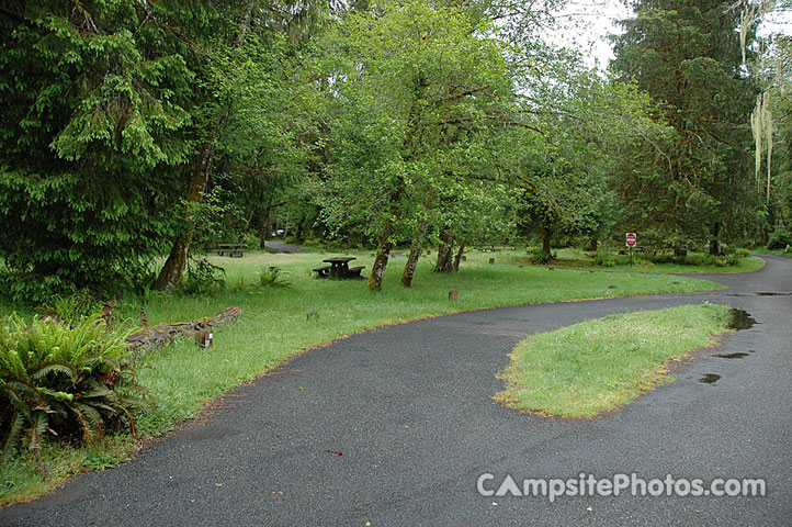 Hoh Rainforest 017