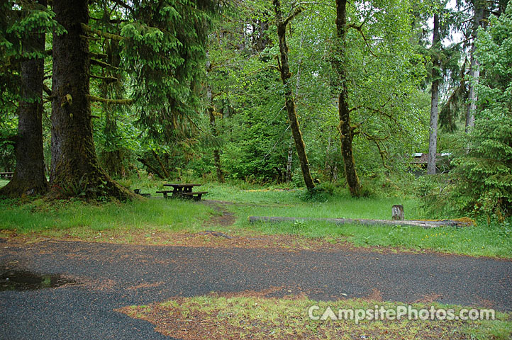 Hoh Rainforest 022