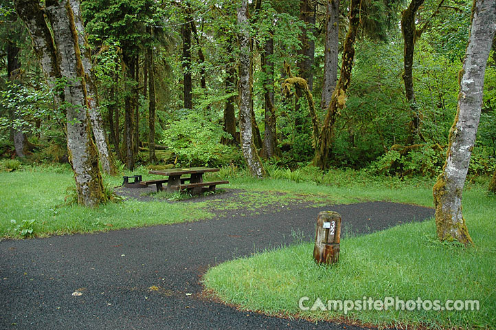 Hoh Rainforest 032