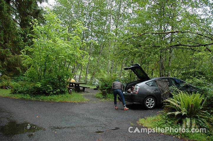 Hoh Rainforest 066