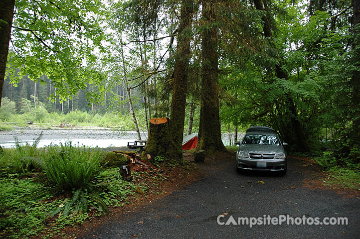 Hoh Rainforest 068