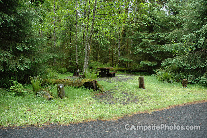 Hoh Rainforest 085