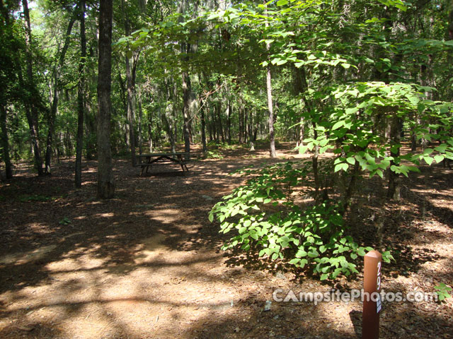 Poinsett State Park 029