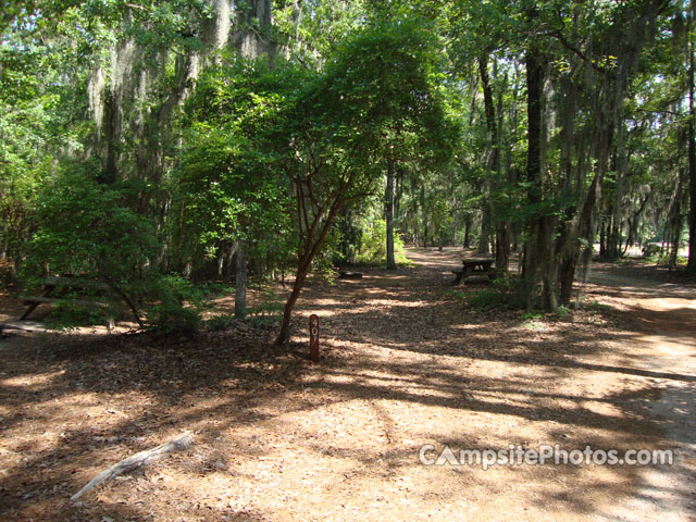 Poinsett State Park 040