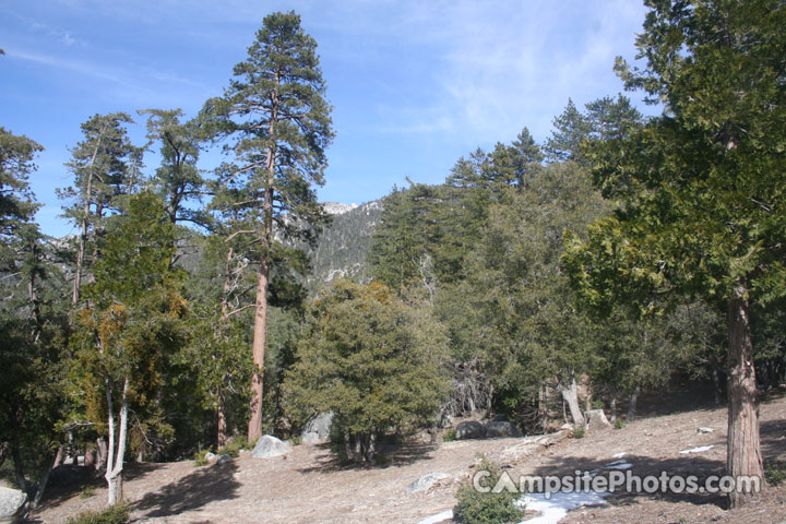 San Jacinto State Park Mountains View