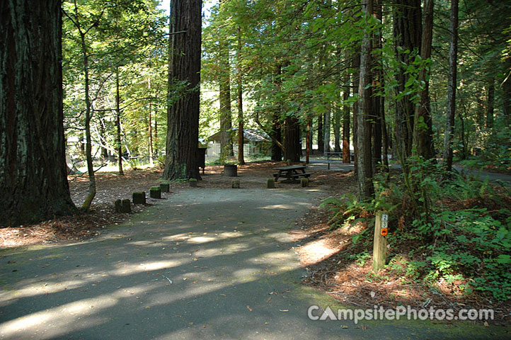 Grizzly Creek Redwoods State Park 023