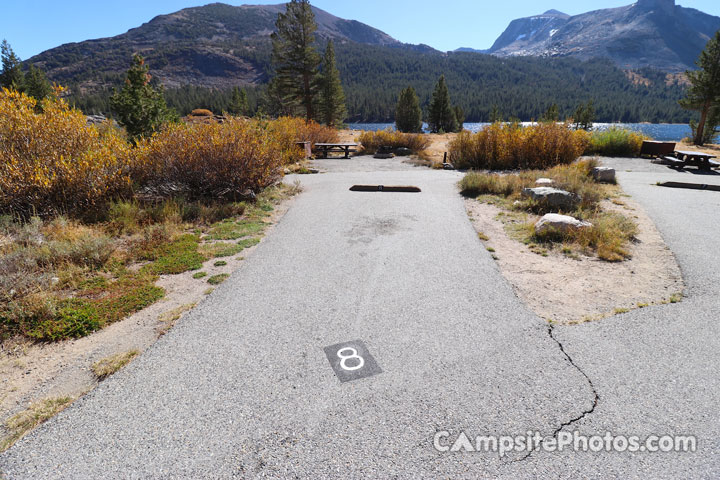 Tioga Lake Campground 008