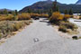 Tioga Lake Campground 009