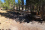 Tioga Lake Campground 011