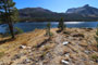 Tioga Lake Campground Lake View