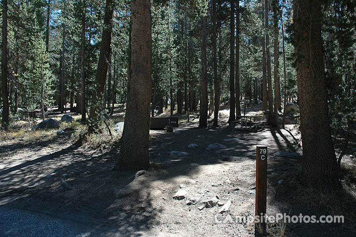 Tuolumne Meadows C079