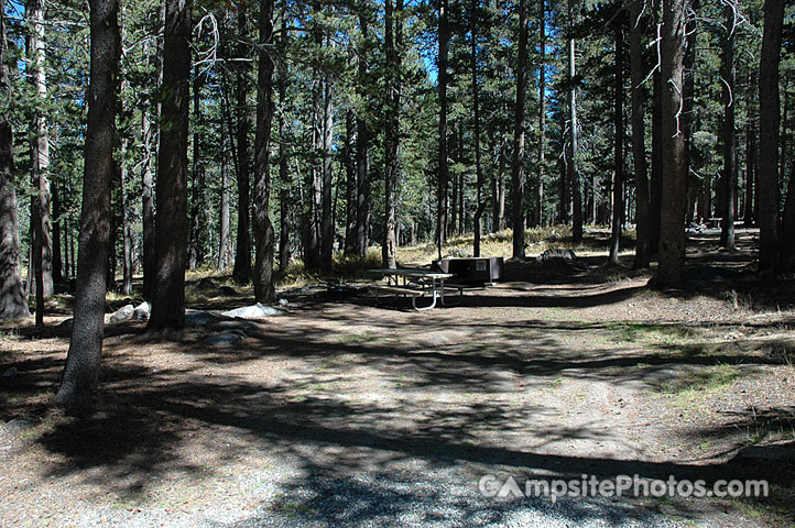 Tuolumne Meadows E002