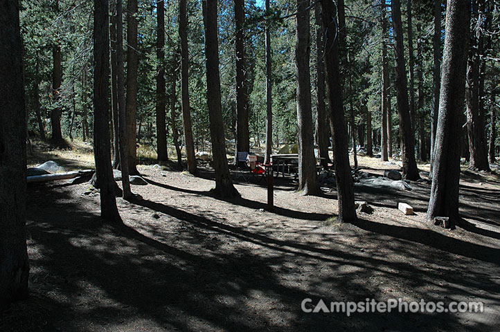 Tuolumne Meadows E015