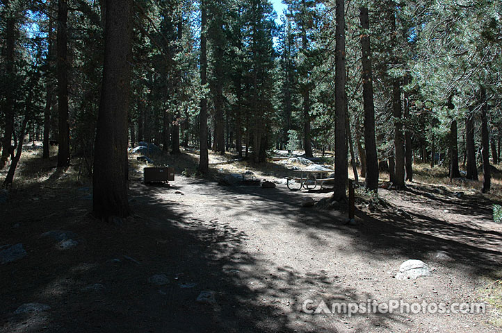 Tuolumne Meadows G019