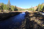 Ellery Lake Campground Creek View