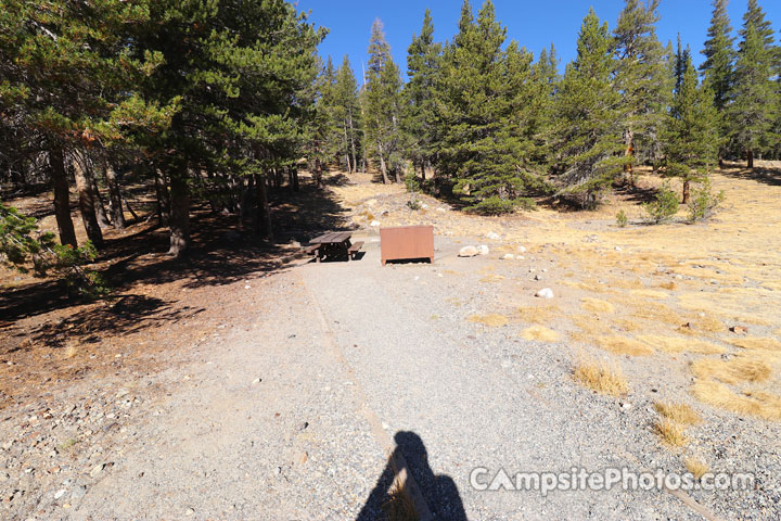 Junction Campground 003